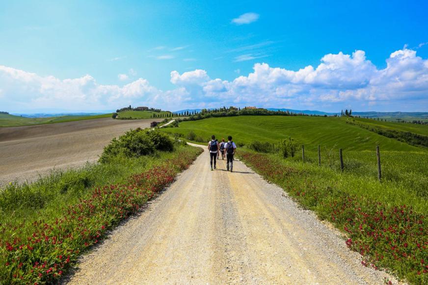 סיינה Podere Il Granaio - Crete Senesi - Tuscany מראה חיצוני תמונה
