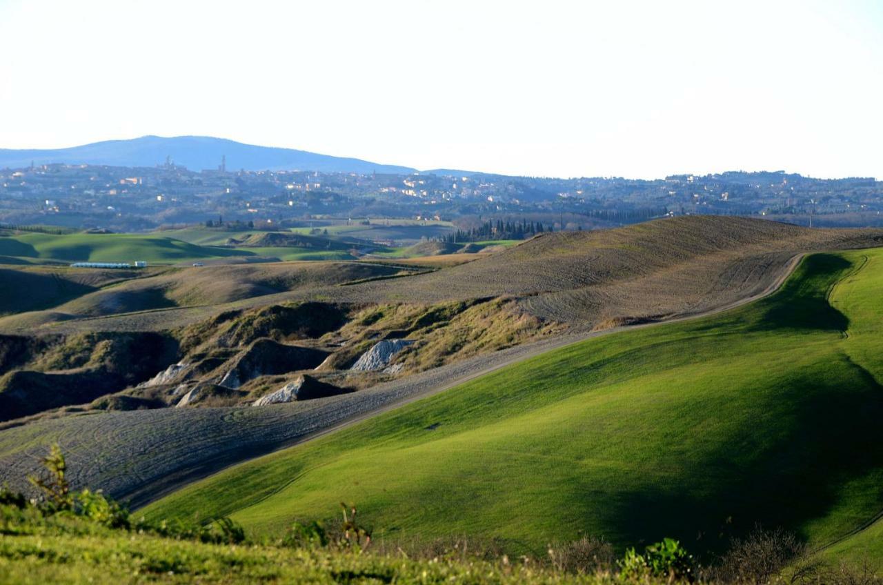 סיינה Podere Il Granaio - Crete Senesi - Tuscany מראה חיצוני תמונה